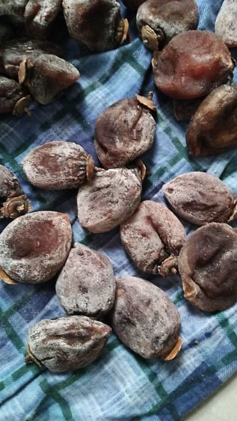 柿饼1~2两