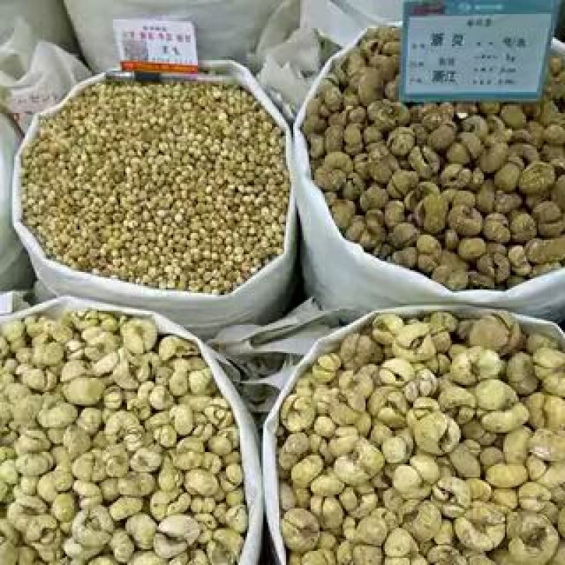 原装川贝母大贝松贝炉贝各种规格，量大从优！