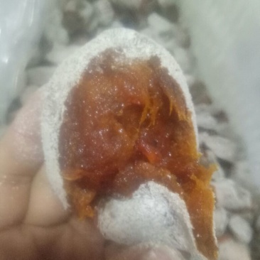 柿饼现货
