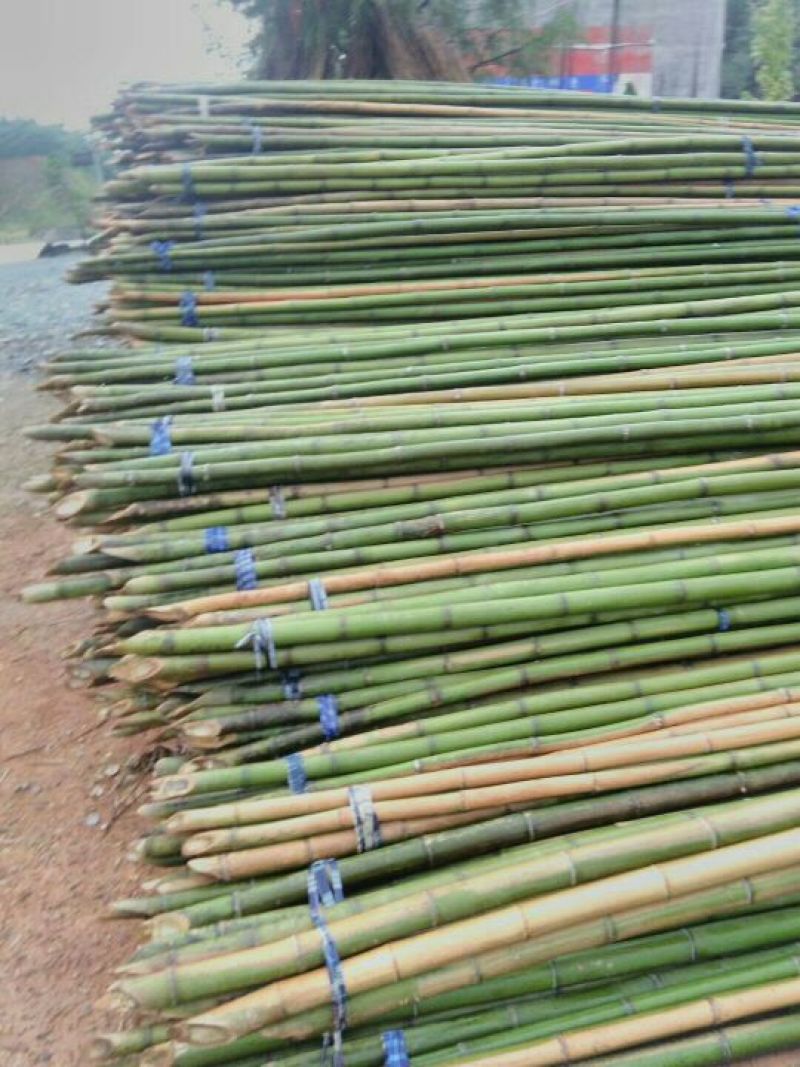 【蔬菜竹架】竹竿菜架竹果树支撑架大棚竹基地直发对接全国
