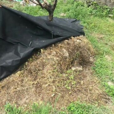 除草布