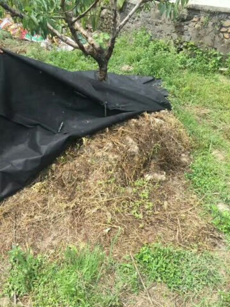 除草布