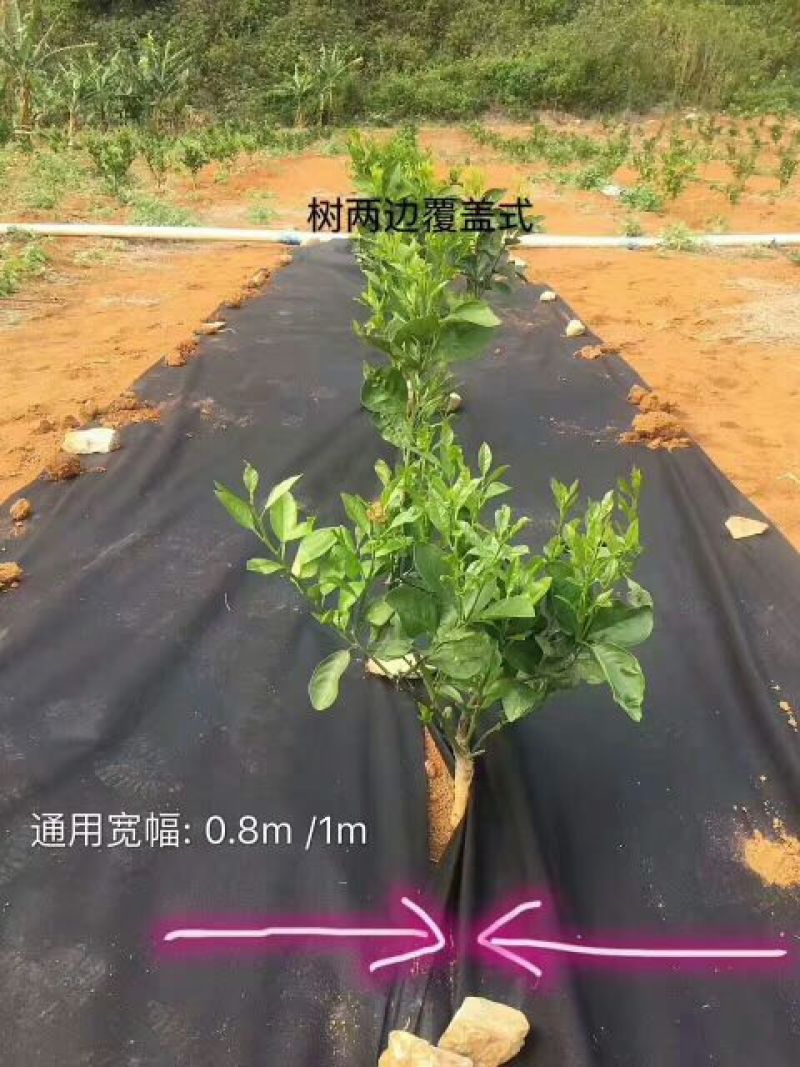 除草布