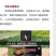 果木碳95%以上栎木炭