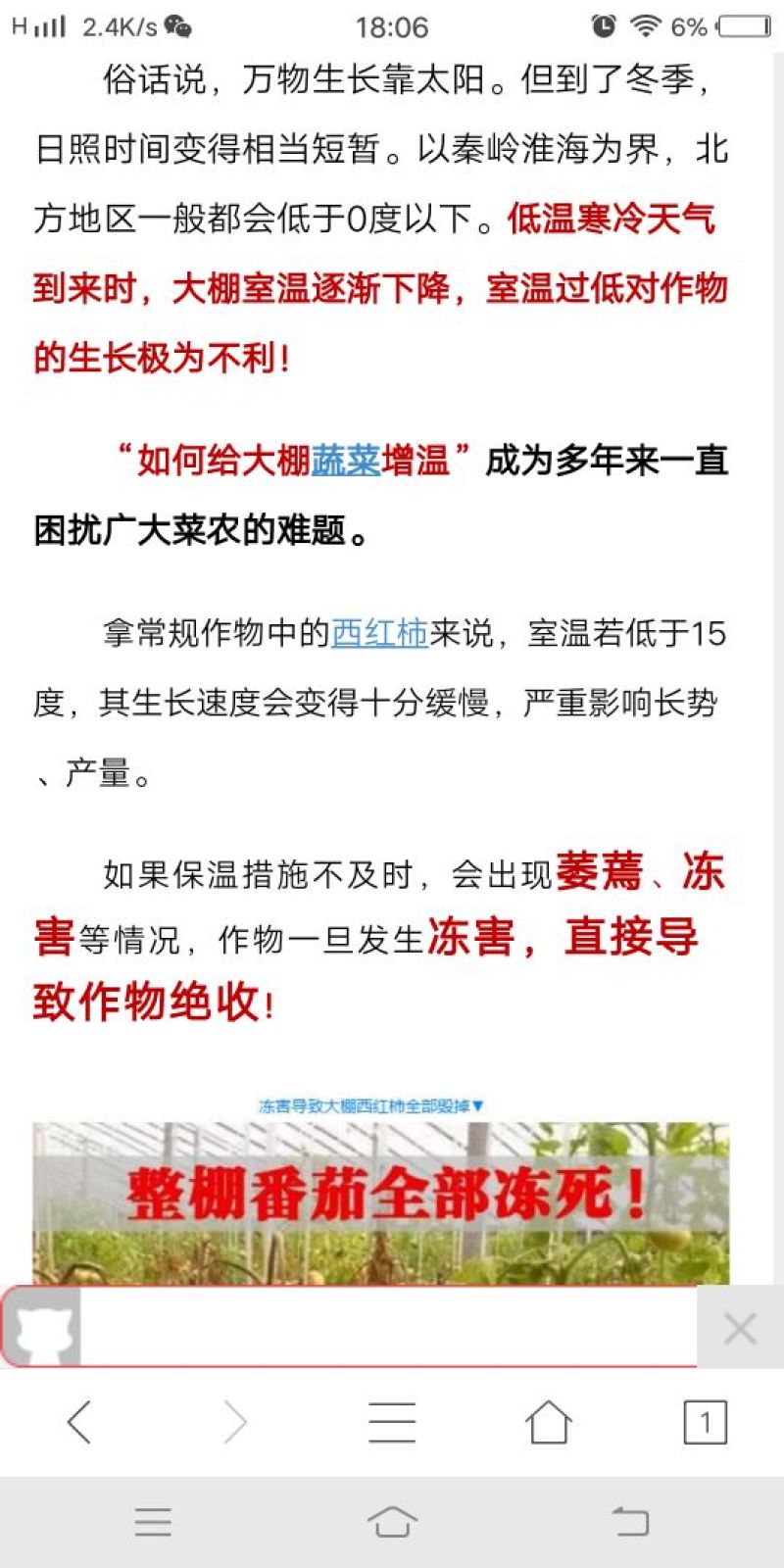 果木碳95%以上栎木炭