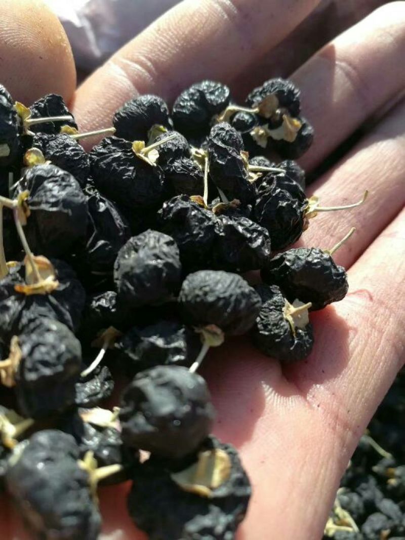黑枸杞特大果0.8以上