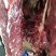 驴肉鲜货