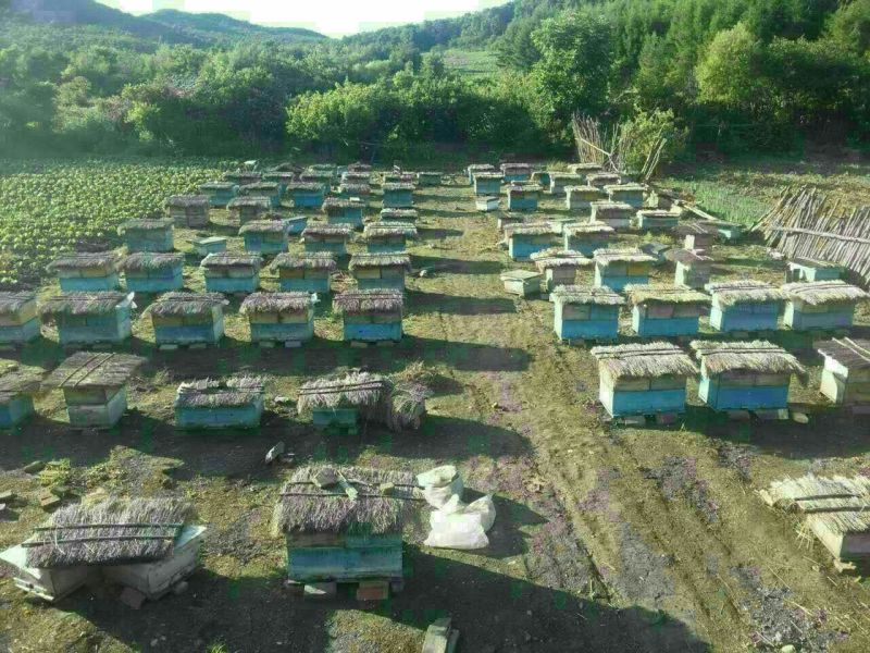 百花蜜蜂场直销无加工原蜜假一赔百批发零售