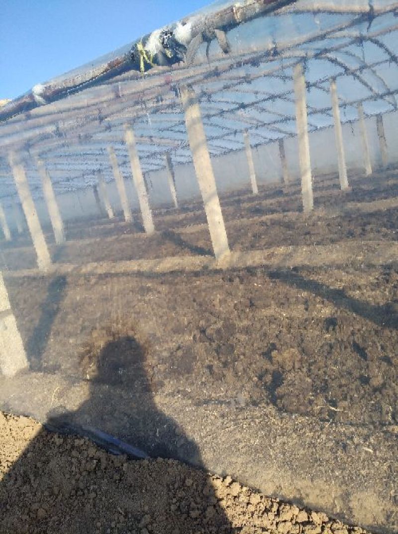 大棚膜8到12丝，规格全可订制，长寿消雾流滴透光好！