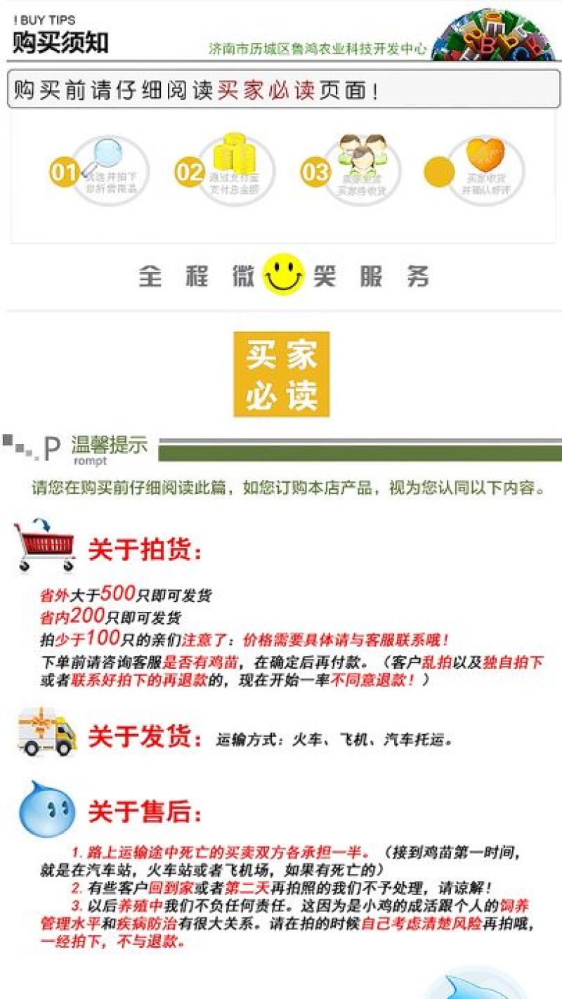绿壳蛋鸡苗出壳苗35~45克通货