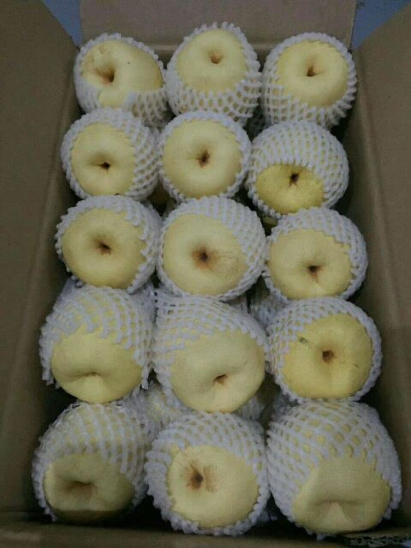 山西贡梨黄土高坡脆甜酥梨纸袋200~250g