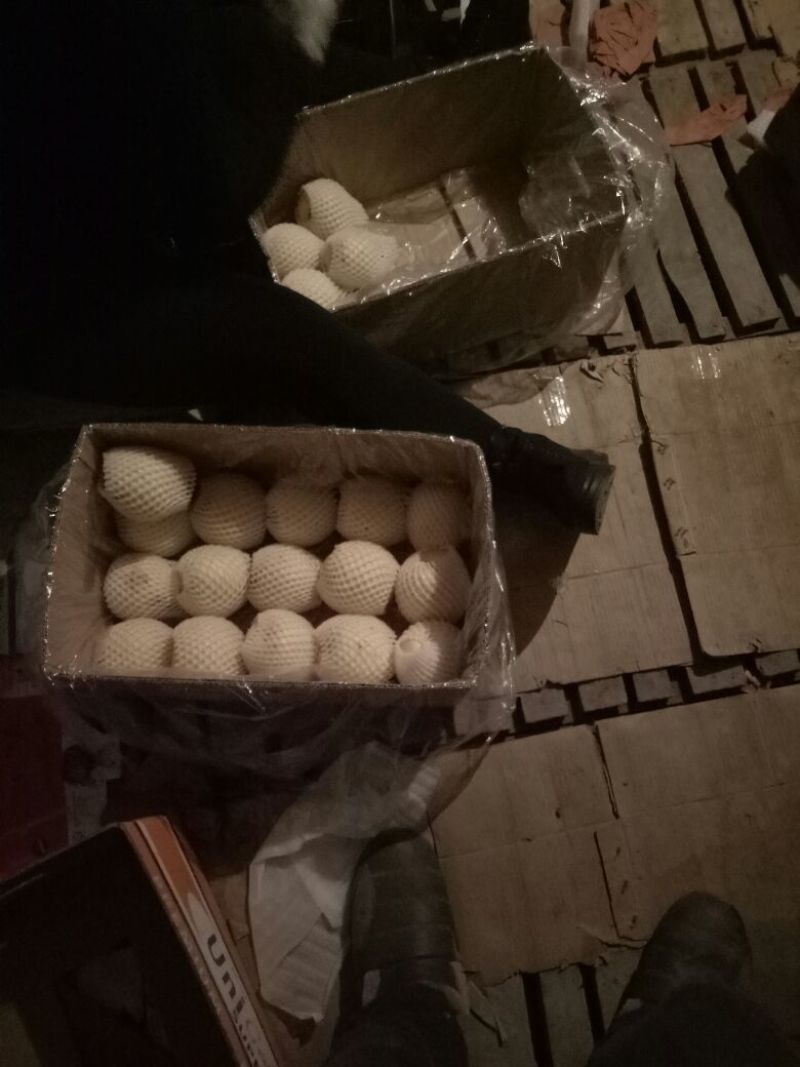 山西贡梨黄土高坡脆甜酥梨纸袋200~250g