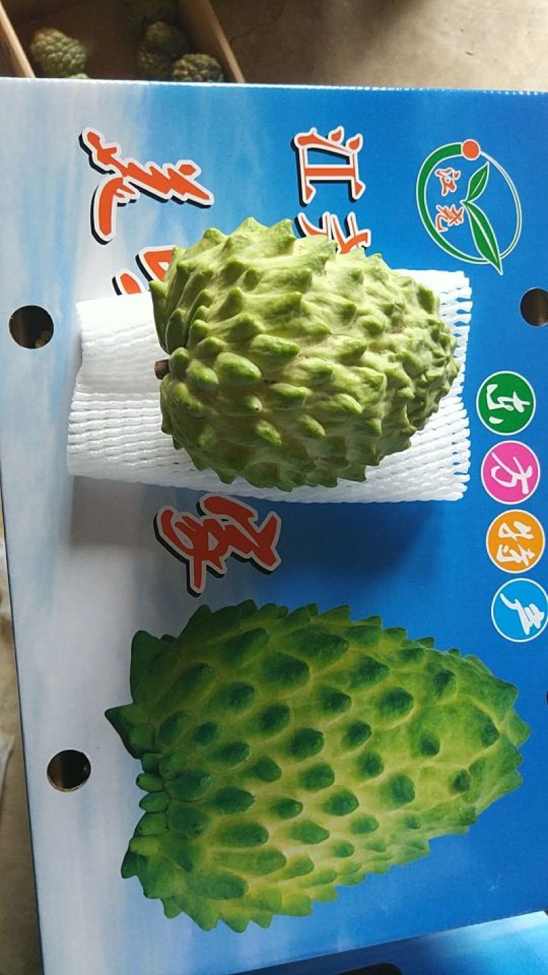 台湾释迦一级850~900g