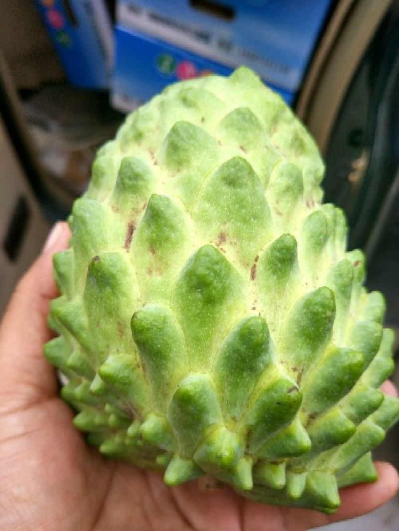 台湾释迦一级850~900g