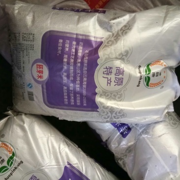 苦荞麦旱地