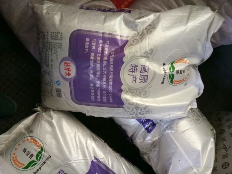 苦荞麦旱地