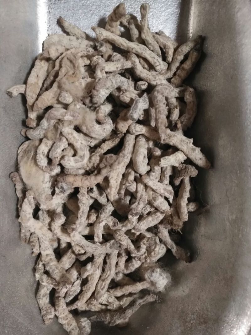 僵蚕广西1公斤起批无硫无添加不包邮只做正品