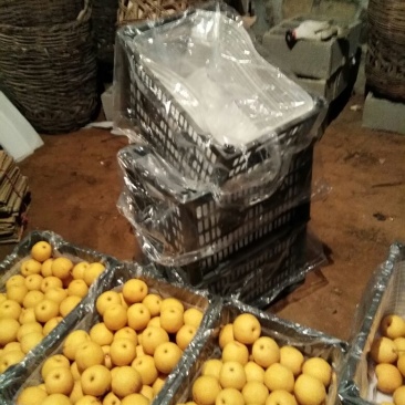 白梨筐装150~200g