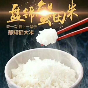 大米一级新米