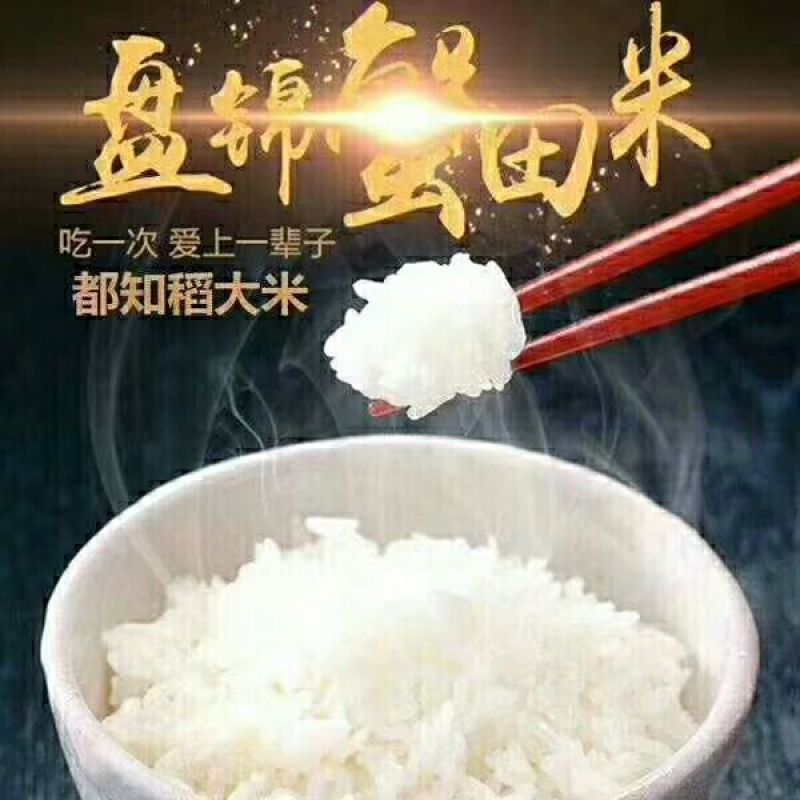大米一级新米