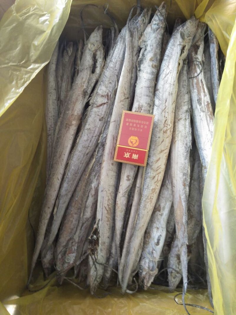 刀鱼食用冻鱼