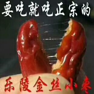 金丝枣一级干枣