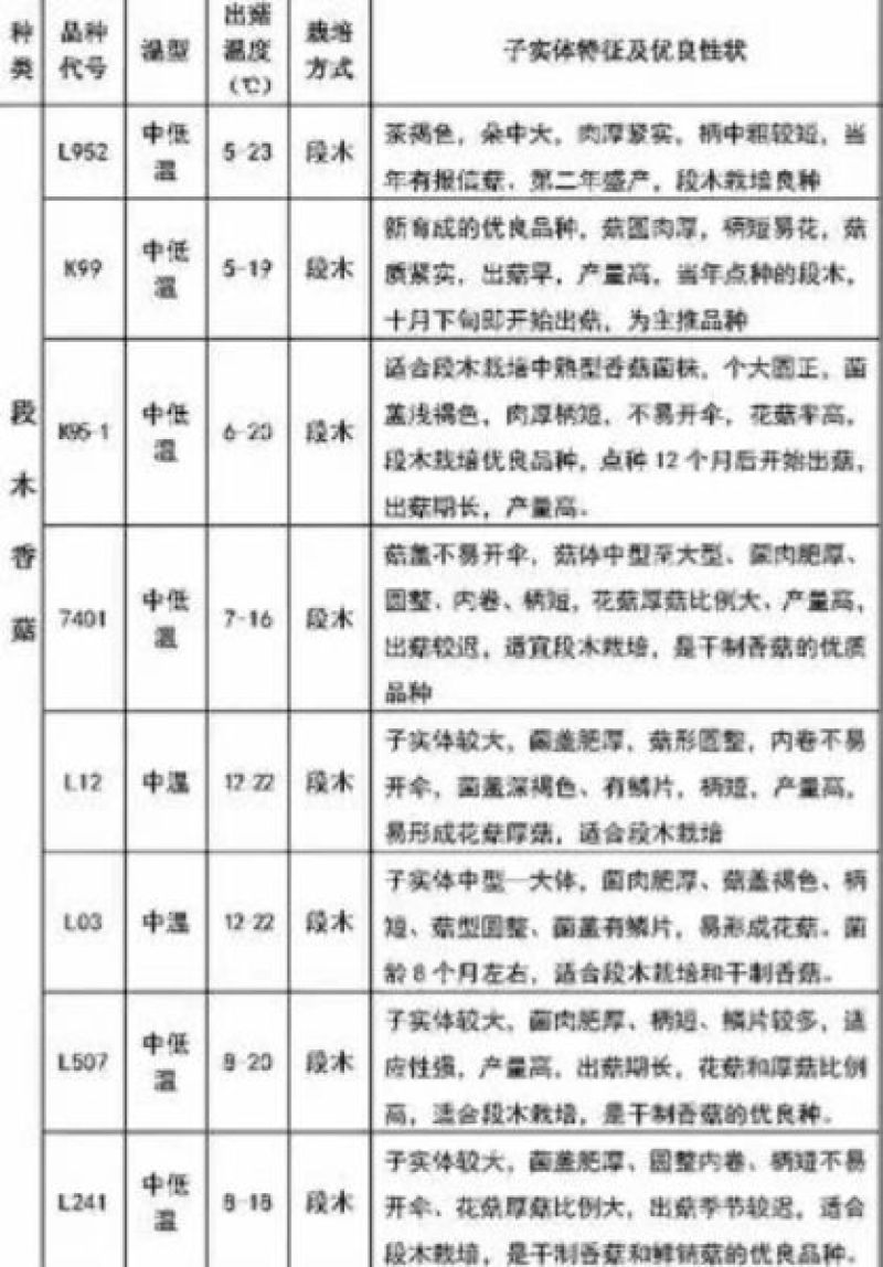 香菇菌种椴木菌种种木头上的