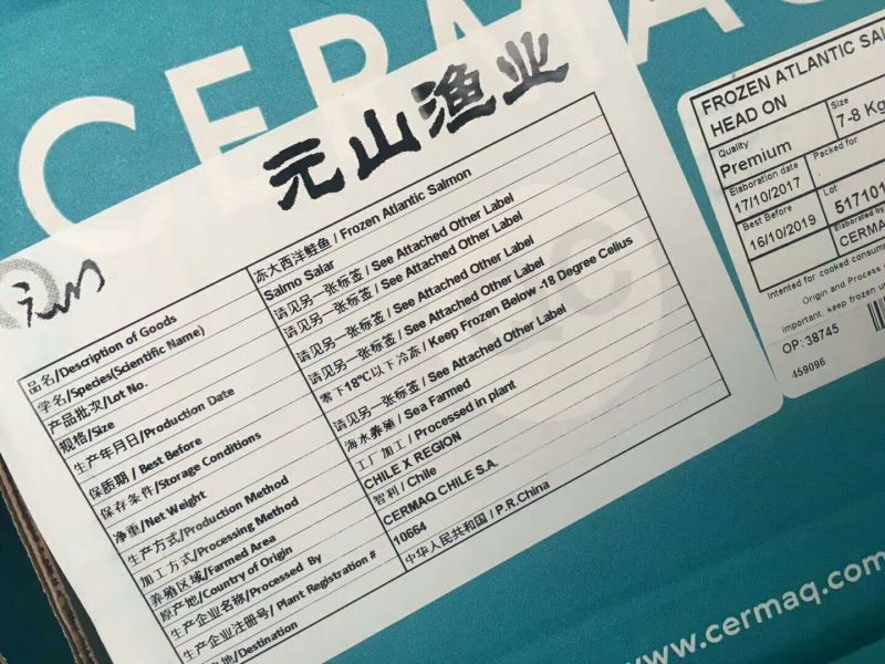 三文鱼食用冻鱼