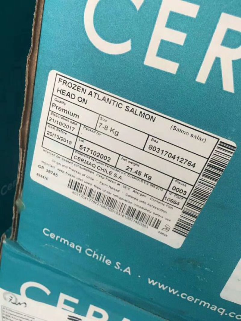 三文鱼食用冻鱼