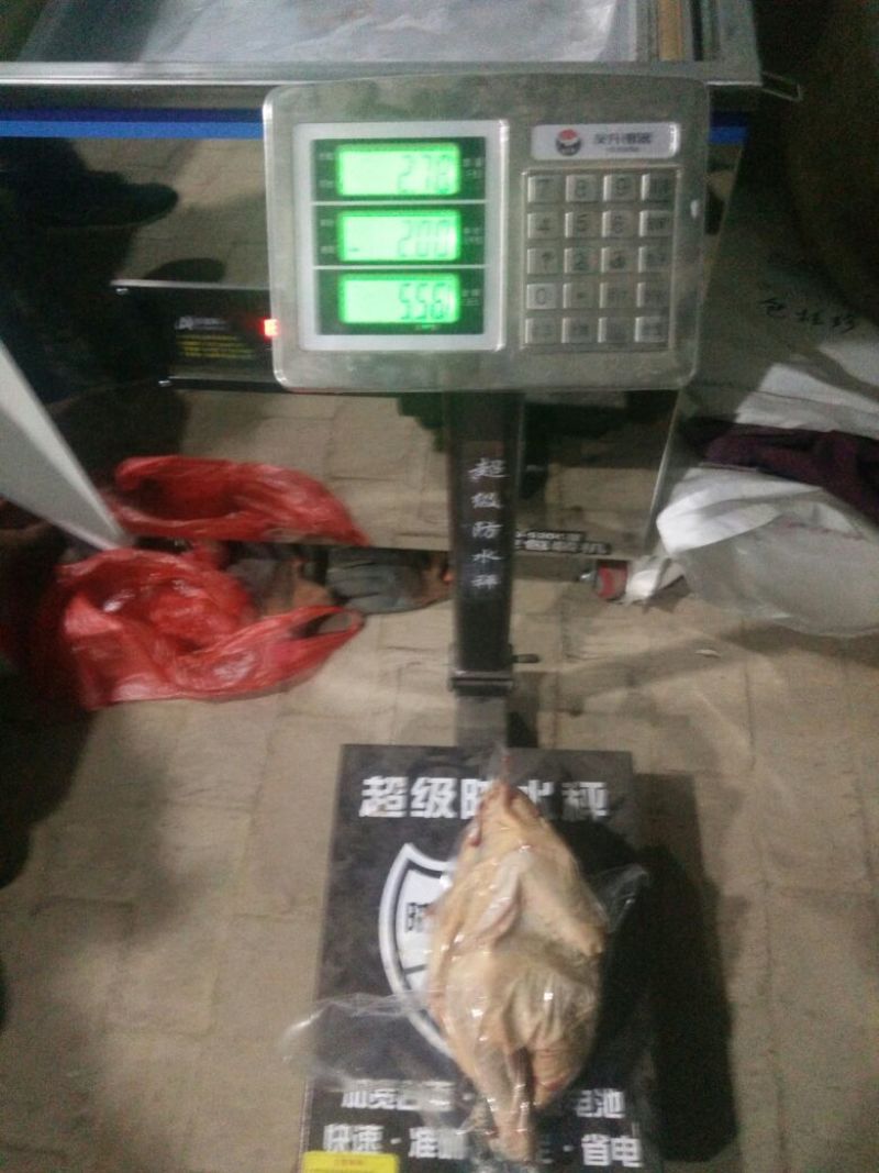 走地鸡散养土鸡6~7斤