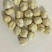 榛子榛子仁熟