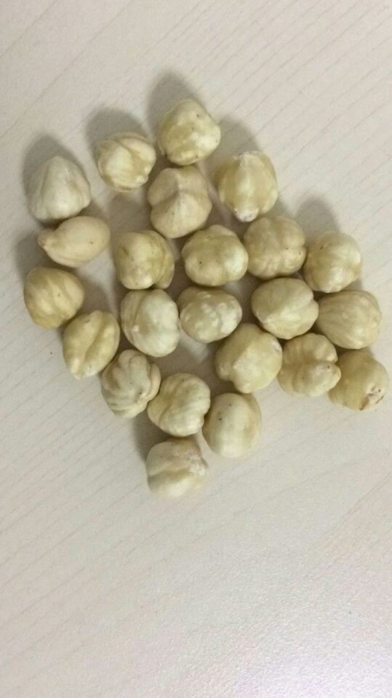 榛子榛子仁熟