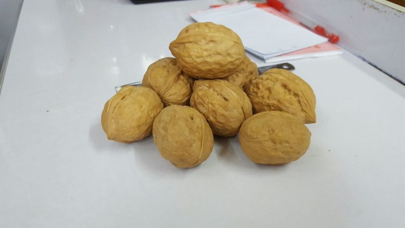 新疆核桃去皮干
