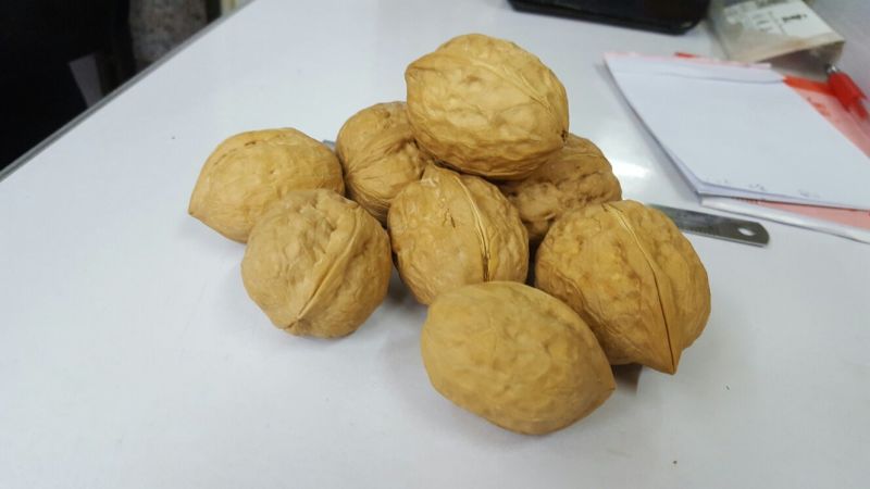 新疆核桃去皮干
