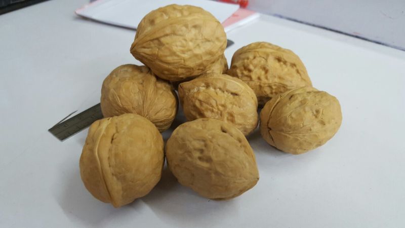 新疆核桃去皮干