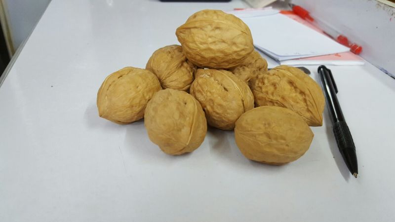 新疆核桃去皮干