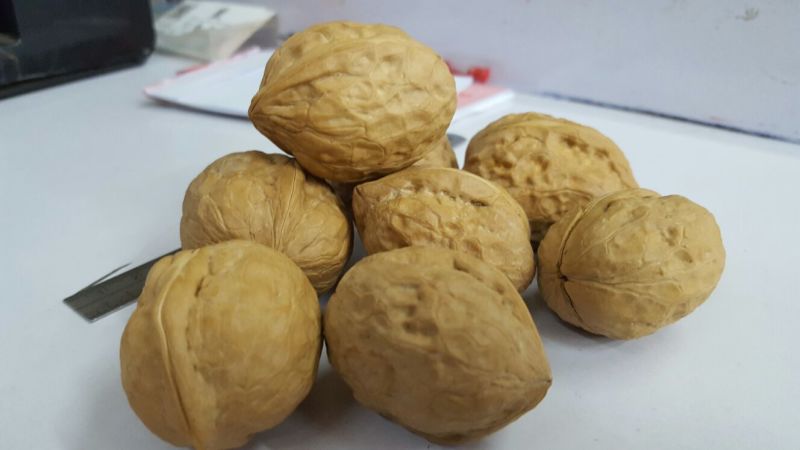 新疆核桃去皮干
