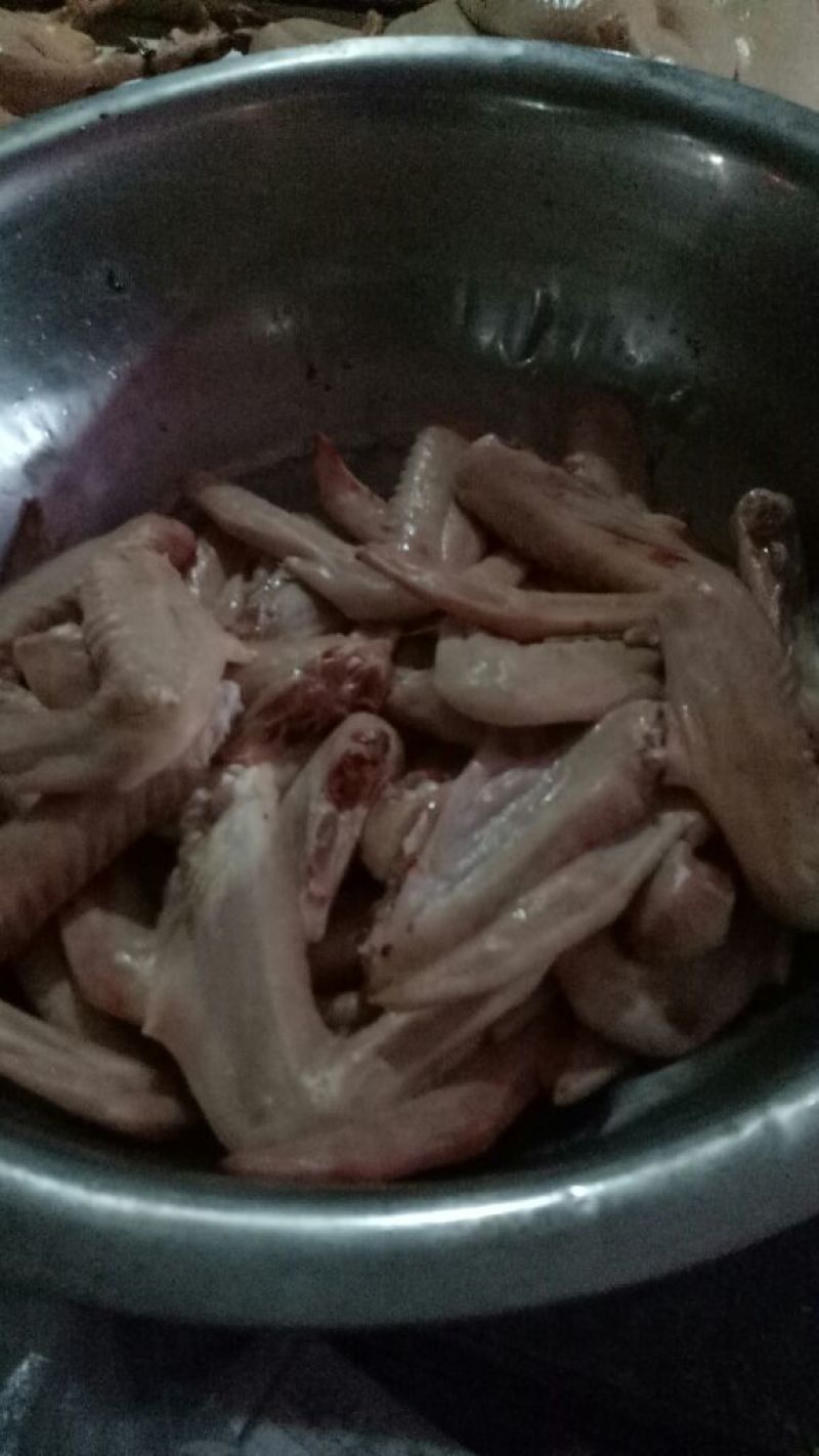 白条鸭