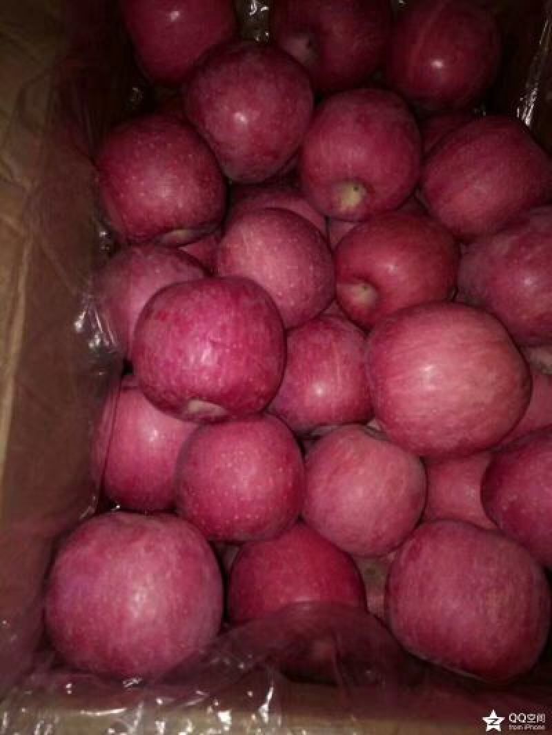 红富士苹果大量供应批发产地直销80mm以上纸袋条纹片红