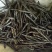 苦丁茶广西干货各种规格1斤起包邮量大从优