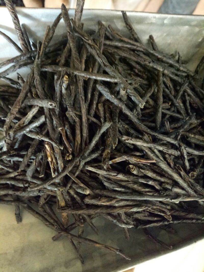 苦丁茶广西干货各种规格1斤起包邮量大从优