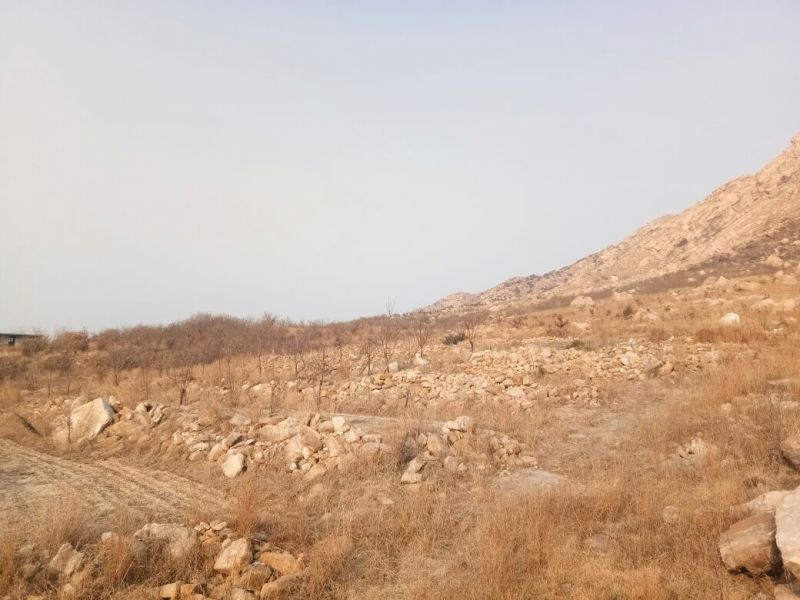 山地转让10~100亩10~30年