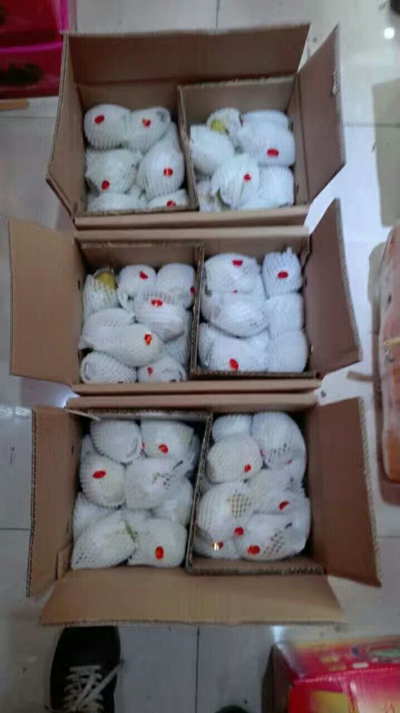 【精品】优质供货电商，红香酥梨质优价廉产地直发