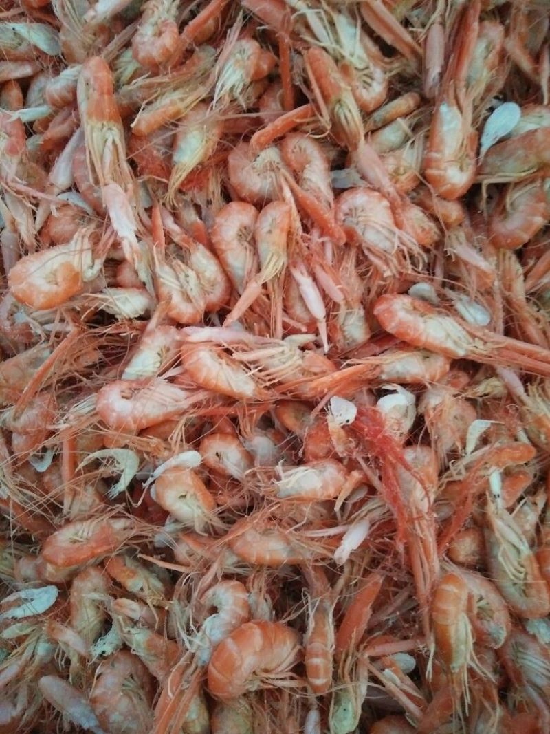 虾皮新鲜虾皮味道好水清米