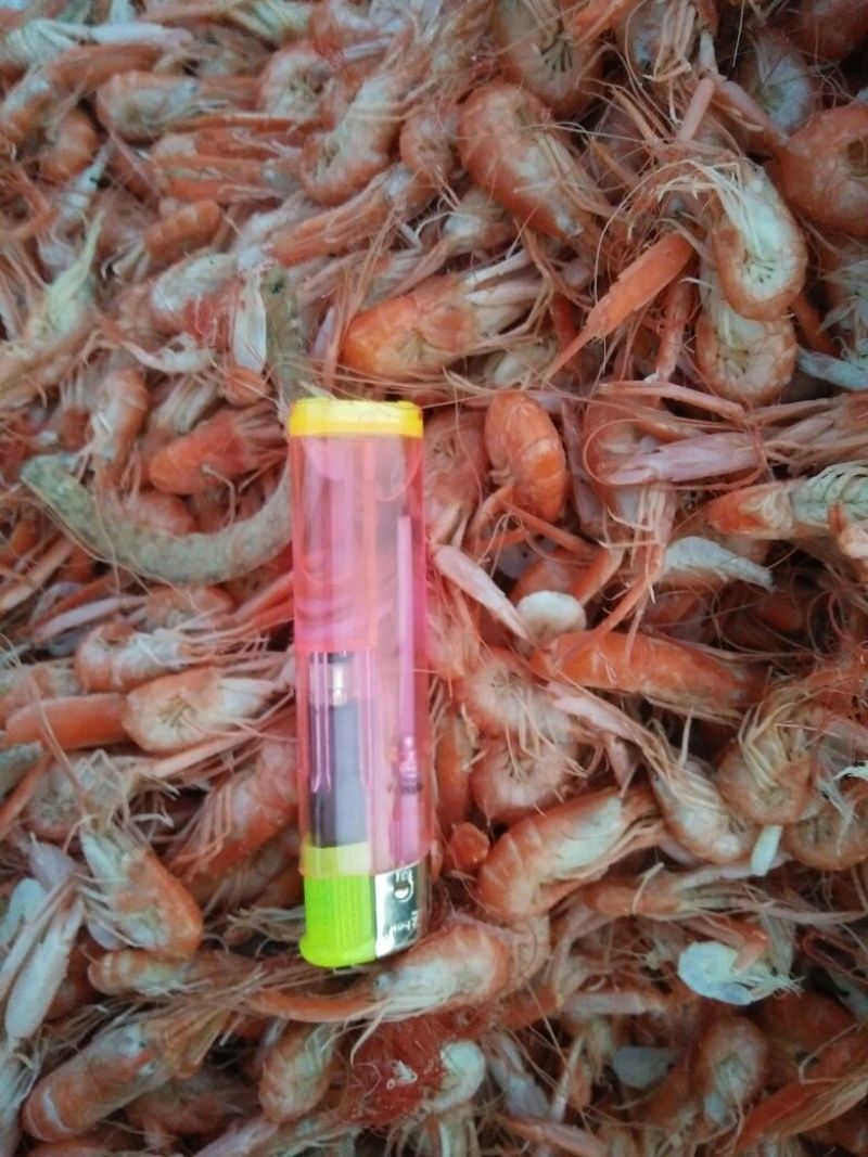 虾皮新鲜虾皮味道好水清米