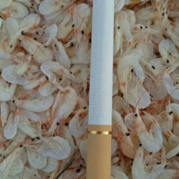 虾皮新鲜虾皮味道好水清米