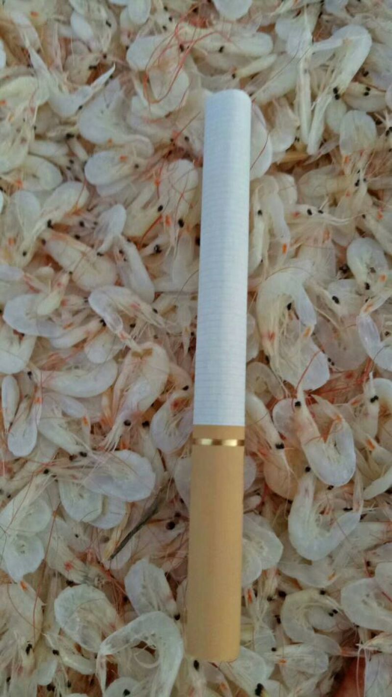 虾皮新鲜虾皮味道好水清米