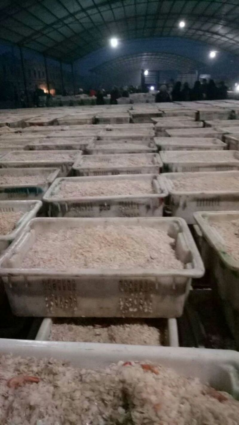 虾皮新鲜虾皮味道好水清米
