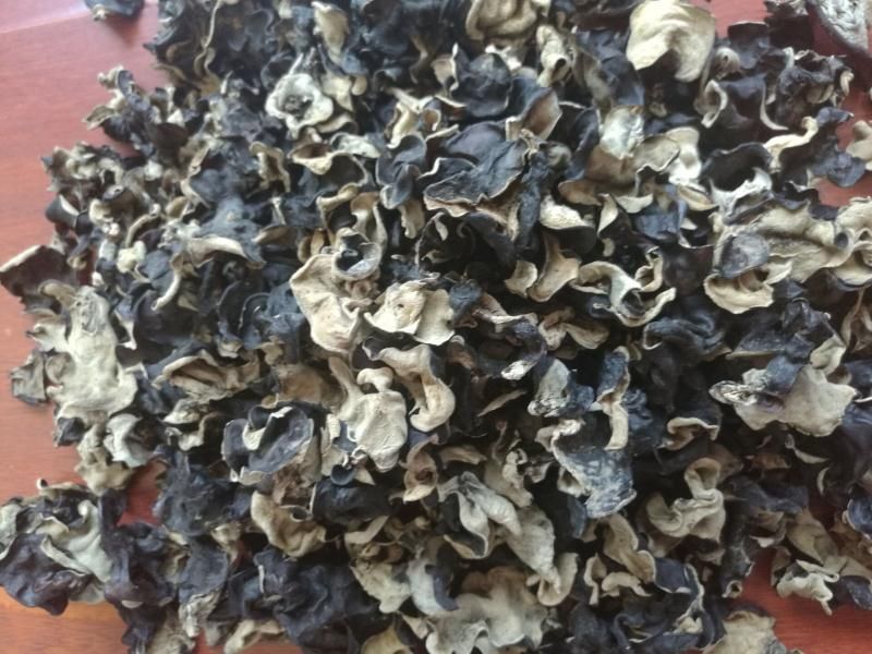 毛木耳地摊干货木耳基地直发