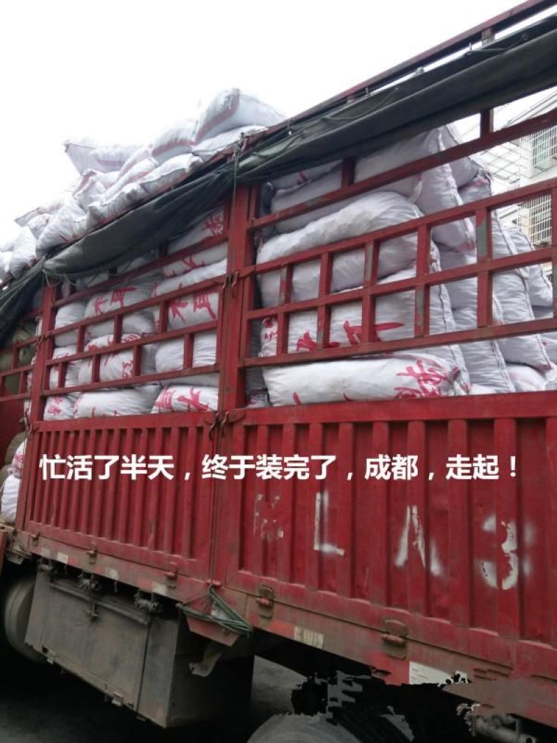 毛木耳地摊干货木耳基地直发